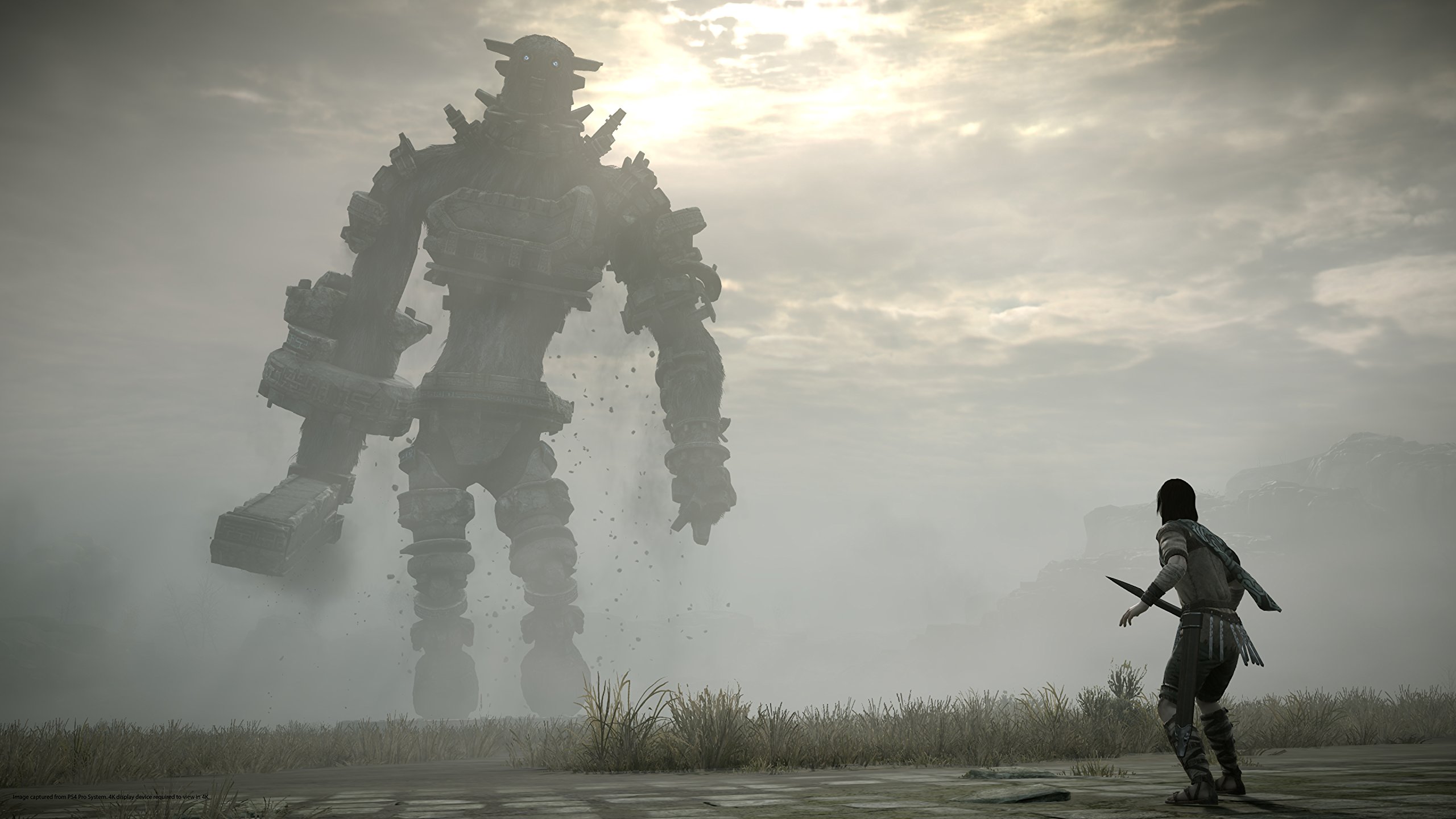 Foto 6 pulgar | Videojuego Sony Shadow Of The Colossus Para Ps4 - Venta Internacional.