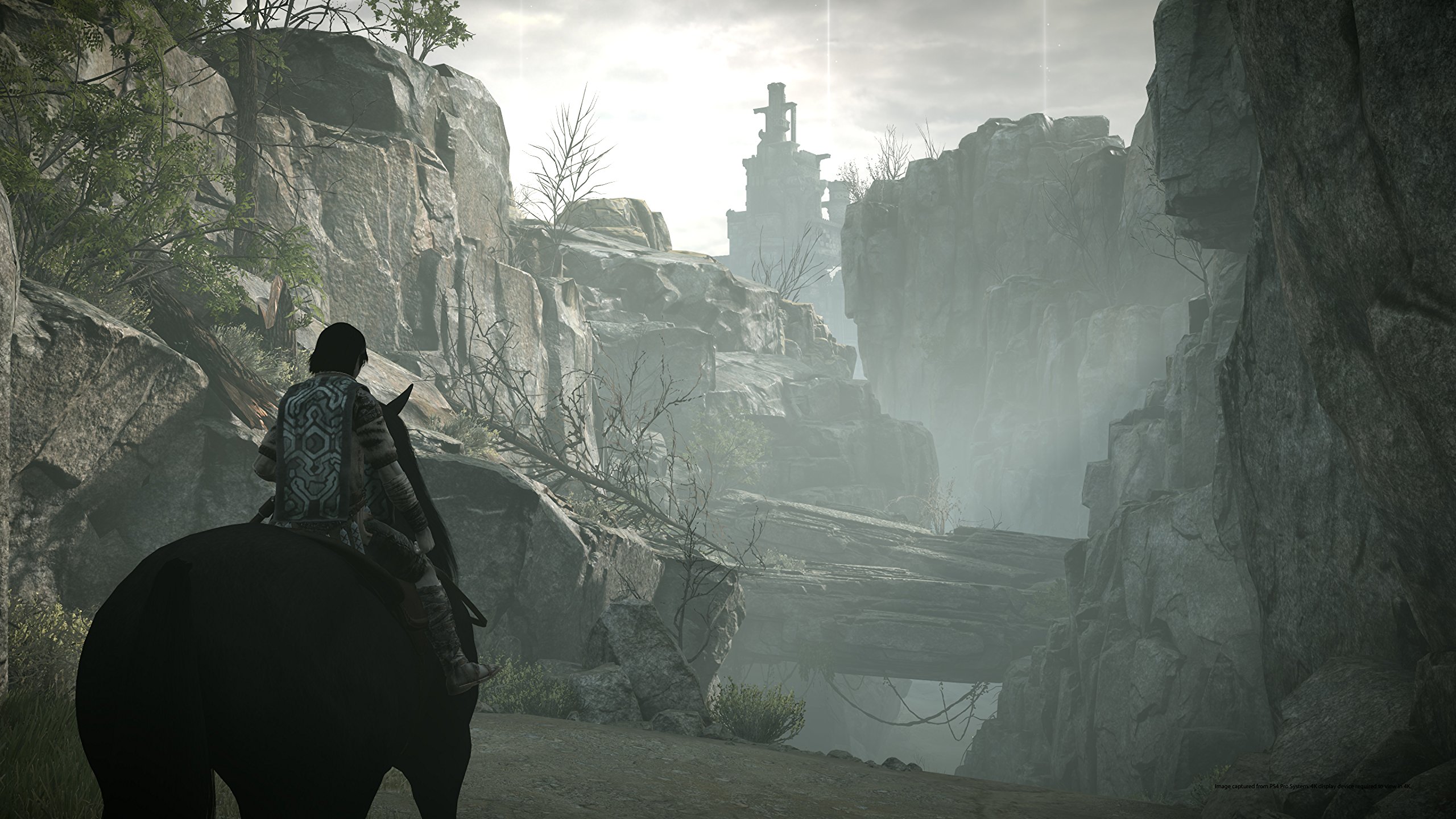 Foto 7 pulgar | Videojuego Sony Shadow Of The Colossus Para Ps4 - Venta Internacional.
