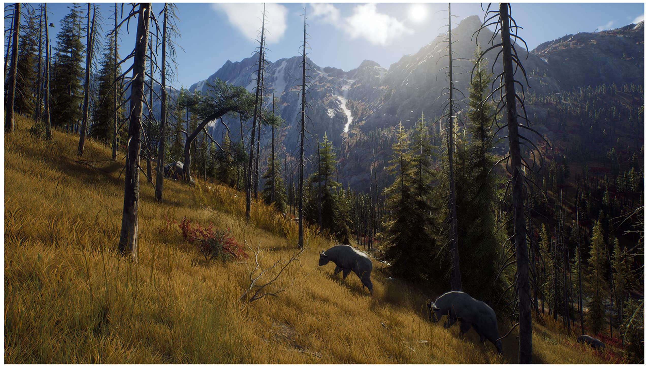 Foto 3 pulgar | Videojuego Thq Nordic Way Of The Hunter Para Xbox Series X - Venta Internacional.