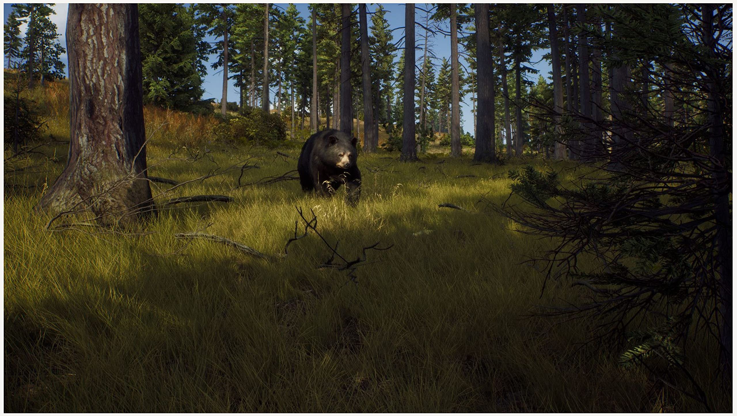 Foto 5 pulgar | Videojuego Thq Nordic Way Of The Hunter Para Xbox Series X - Venta Internacional.