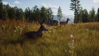Foto 7 | Videojuego Thq Nordic Way Of The Hunter Para Xbox Series X - Venta Internacional.