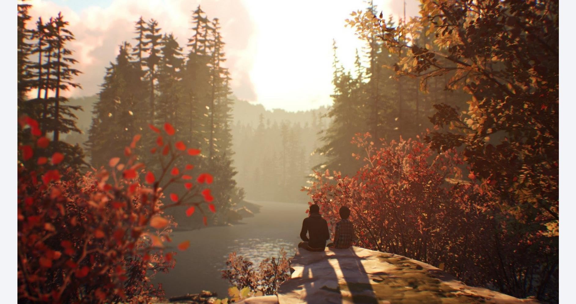 Foto 2 | Videojuego Square Enix Life Is Strange 2 Para Ps4 - Venta Internacional.