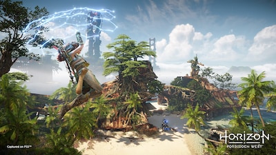 Foto 4 | Videojuego Playstation 4 Horizon Forbidden West Standard - Venta Internacional.