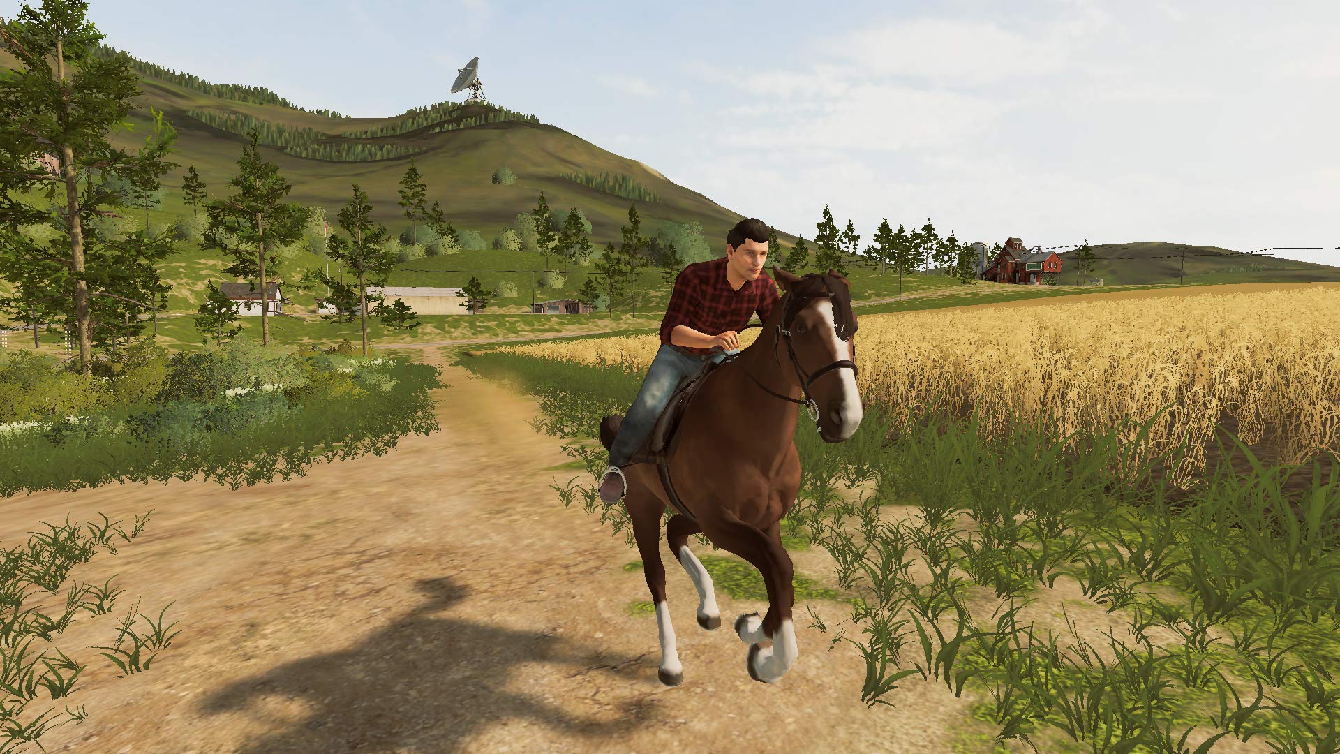 Foto 6 pulgar | Videojuego Maximum Games Farming Simulator 20 Para Nintendo Switch - Venta Internacional.