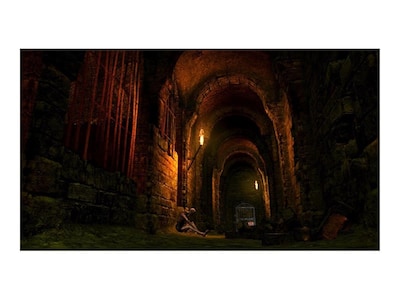 Foto 3 | Videojuego Bandai Namco Dark Souls Trilogy Ps4 - Venta Internacional.