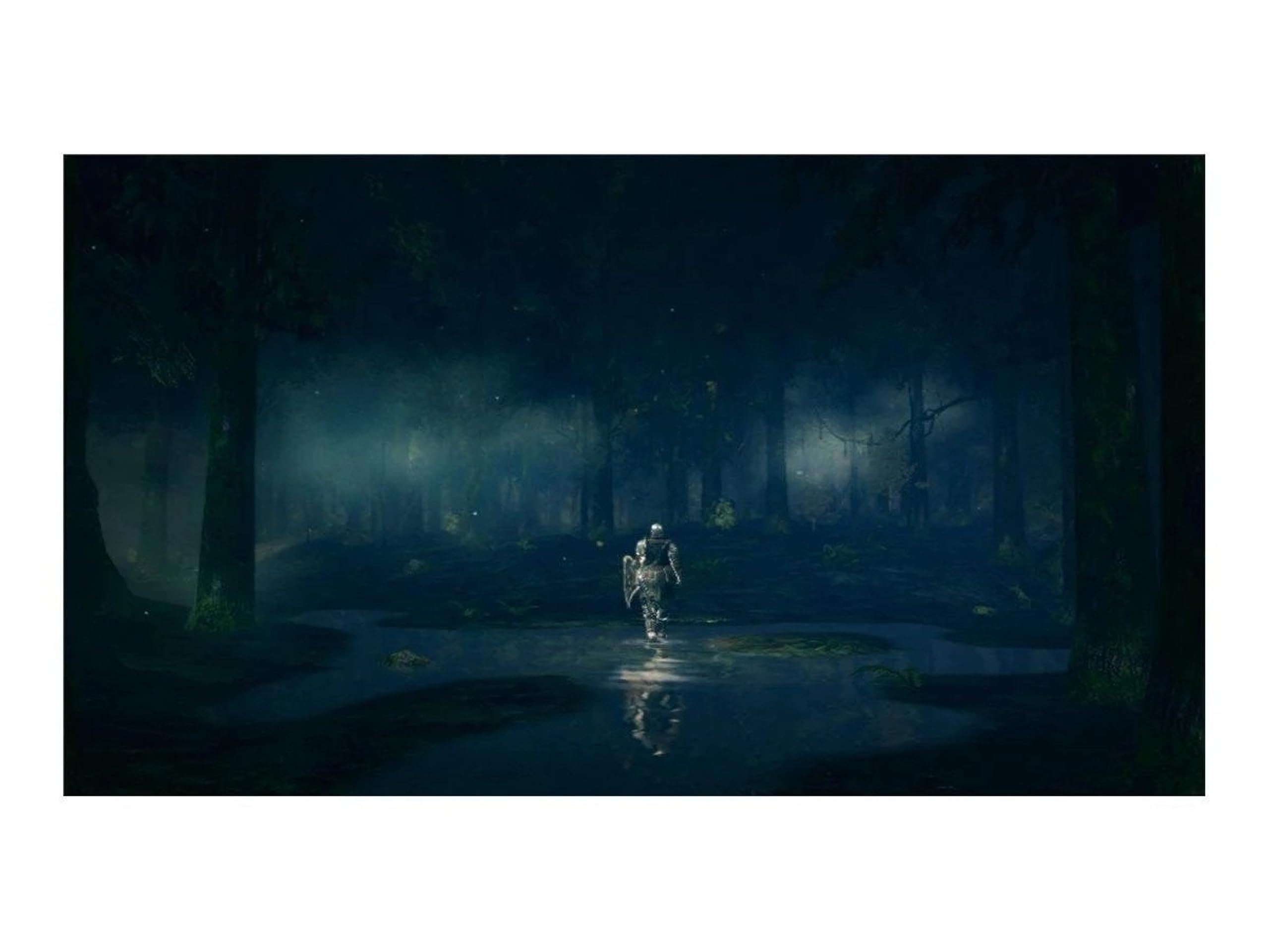 Foto 6 pulgar | Videojuego Bandai Namco Dark Souls Trilogy Ps4 - Venta Internacional.