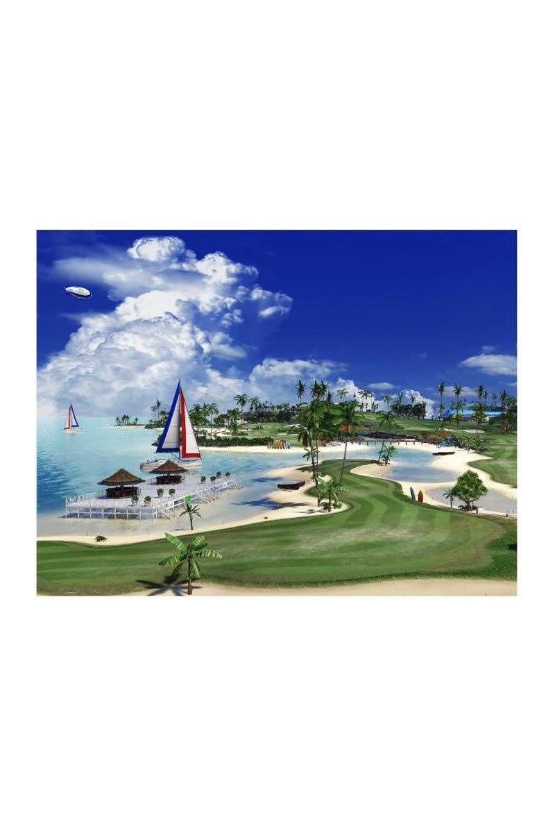 Foto 4 pulgar | Videojuego Playstation Everybody's Golf - Ps4 - Venta Internacional.