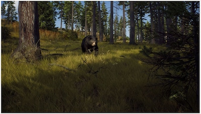 Foto 4 | Videojuego Thq Nordic Way Of The Hunter - Venta Internacional.