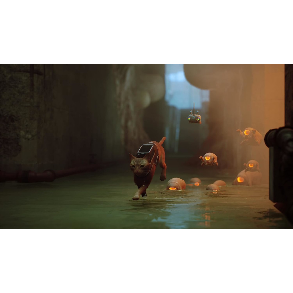 Foto 4 | Videojuego Stray Para Playstation 5