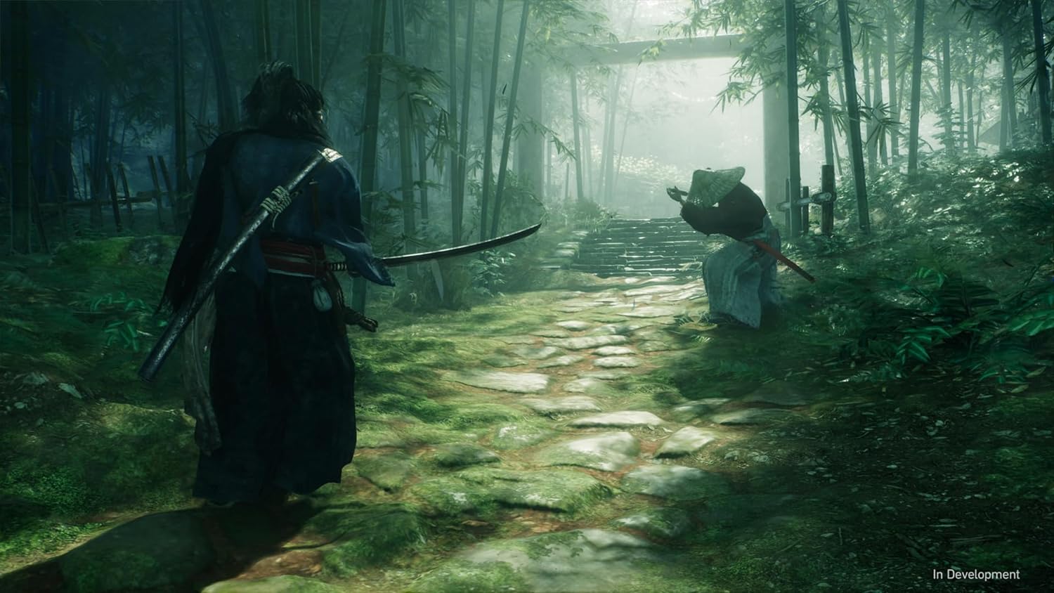 Foto 3 pulgar | Videojuego Rise Of The Ronin para PlayStation 5