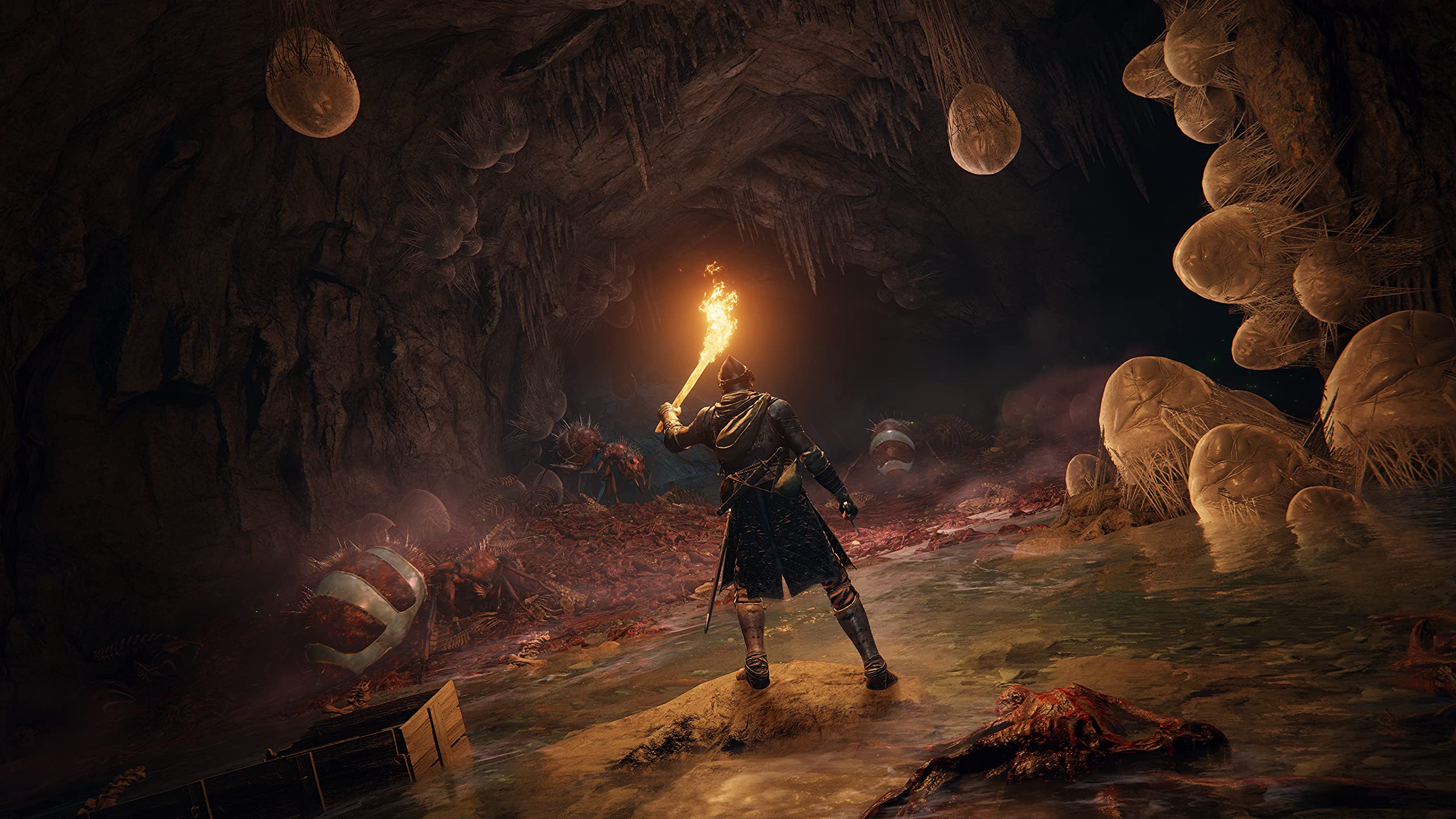 Foto 6 | Videojuego Bandai Namco Entertainment Elden Ring Ps5 - Venta Internacional.