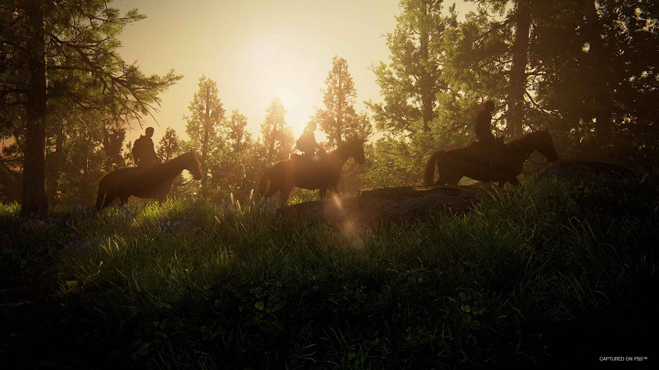 Foto 4 pulgar | Videojuego Playstation 5 The Last Of Us Part I - Venta Internacional.