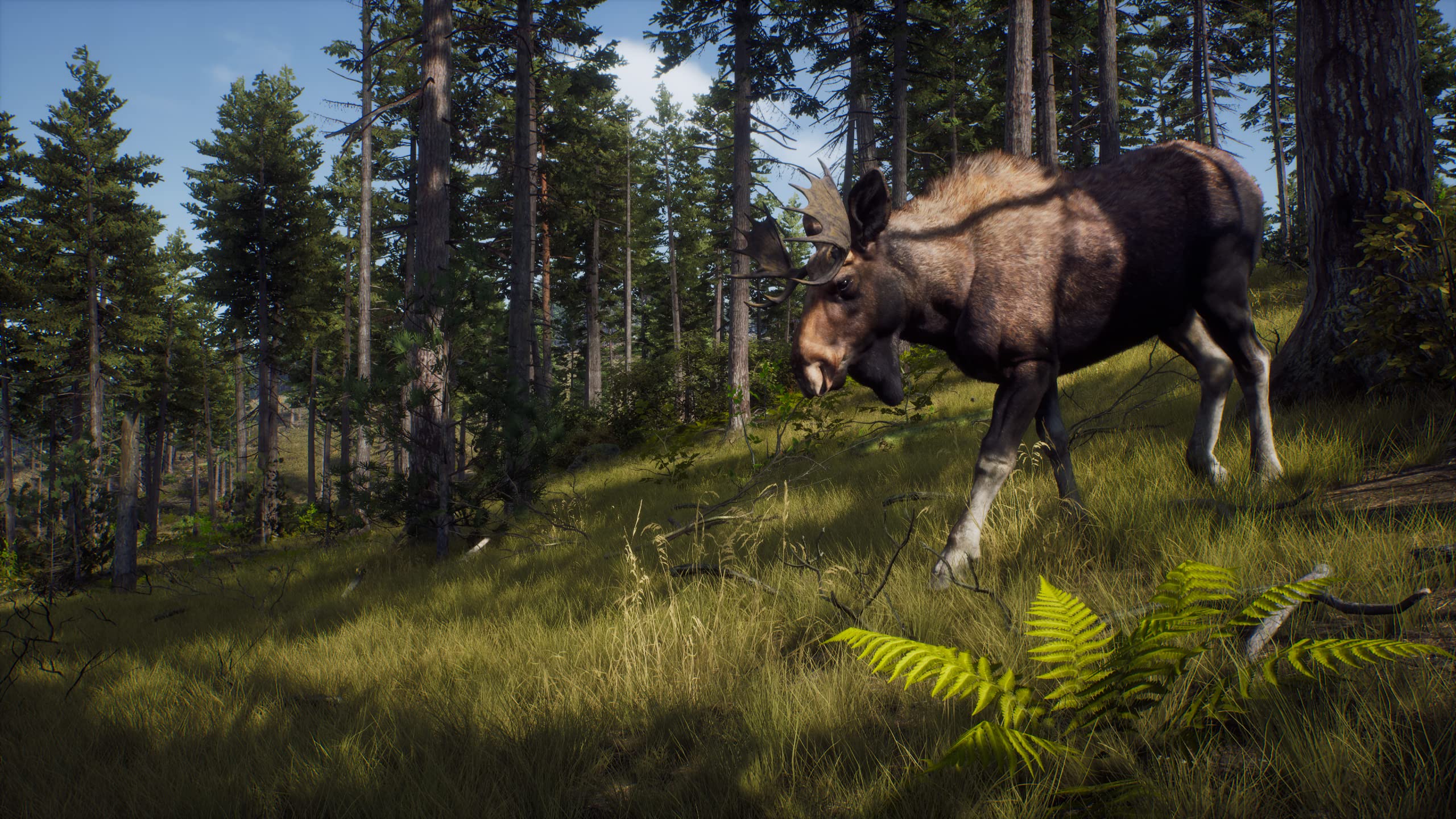 Foto 3 pulgar | Videojuego Thq Nordic Way Of The Hunter Para Playstation 5 - Venta Internacional.