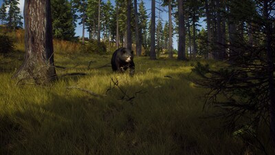 Foto 3 | Videojuego Thq Nordic Way Of The Hunter Para Playstation 5 - Venta Internacional.
