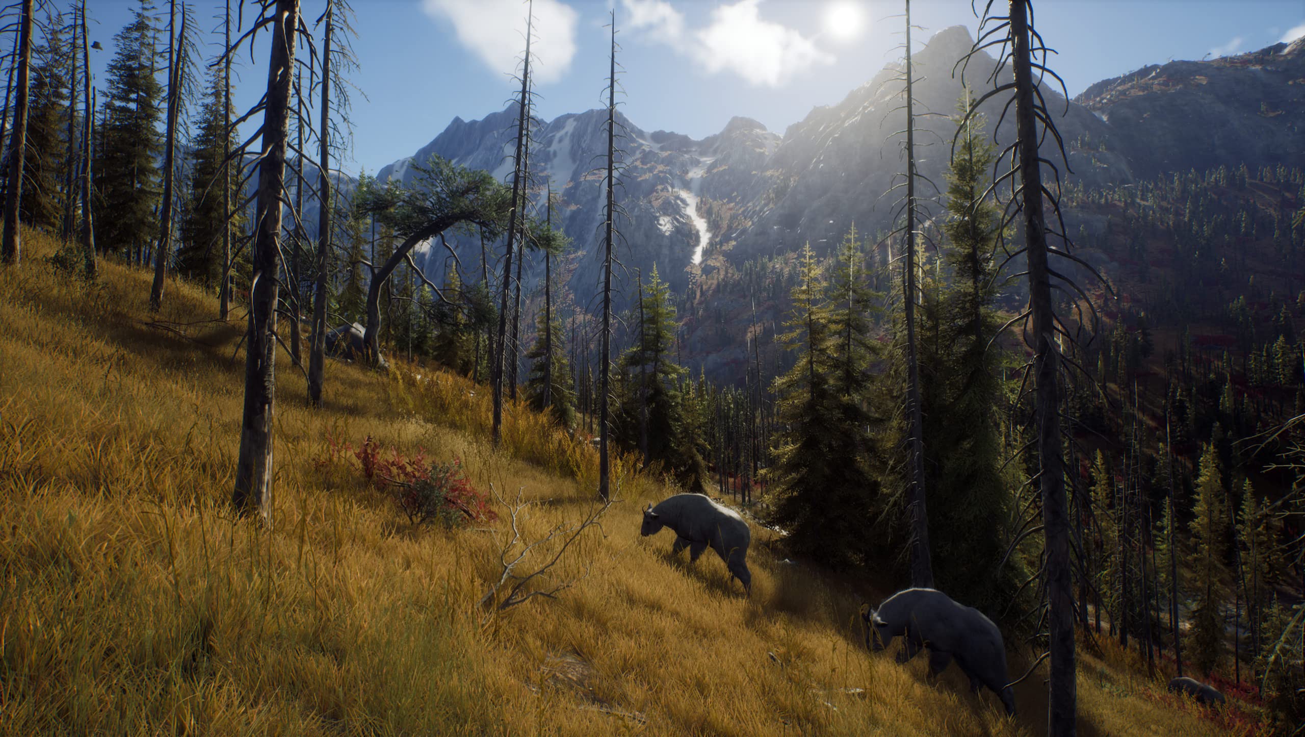 Foto 6 pulgar | Videojuego Thq Nordic Way Of The Hunter Para Playstation 5 - Venta Internacional.