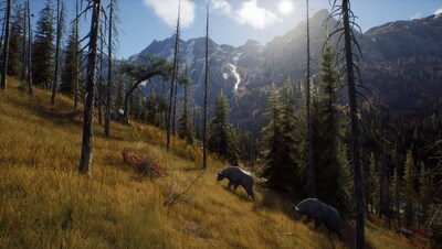 Foto 5 | Videojuego Thq Nordic Way Of The Hunter Para Playstation 5 - Venta Internacional.