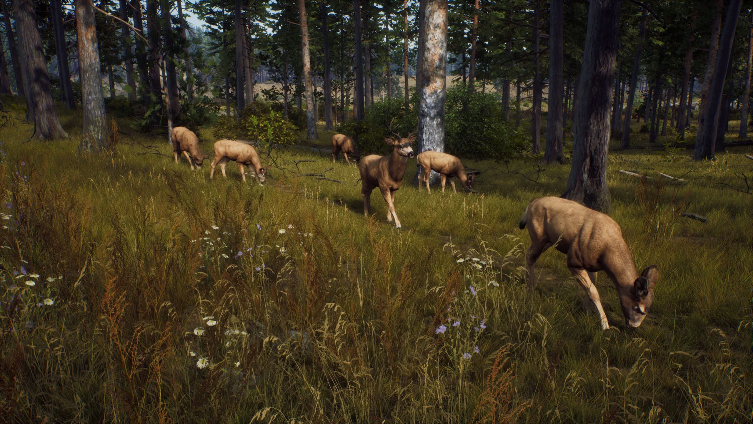 Foto 7 pulgar | Videojuego Thq Nordic Way Of The Hunter Para Playstation 5 - Venta Internacional.