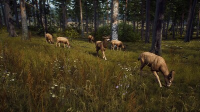 Foto 6 | Videojuego Thq Nordic Way Of The Hunter Para Playstation 5 - Venta Internacional.