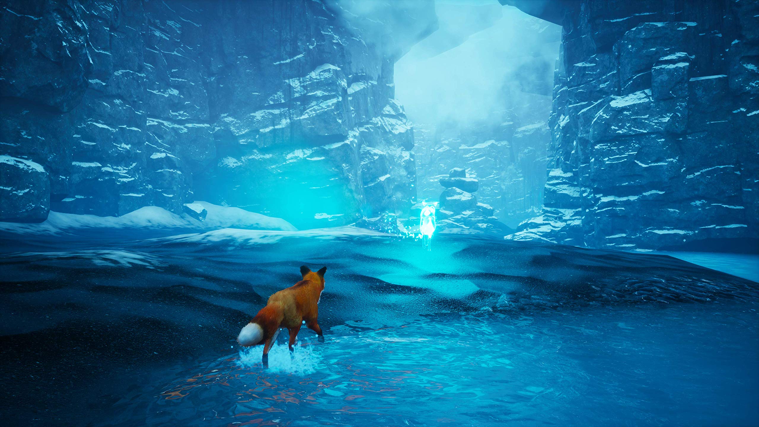 Foto 3 | Videojuego Spirit Of The North Playstation 5 Standard Edition - Venta Internacional.