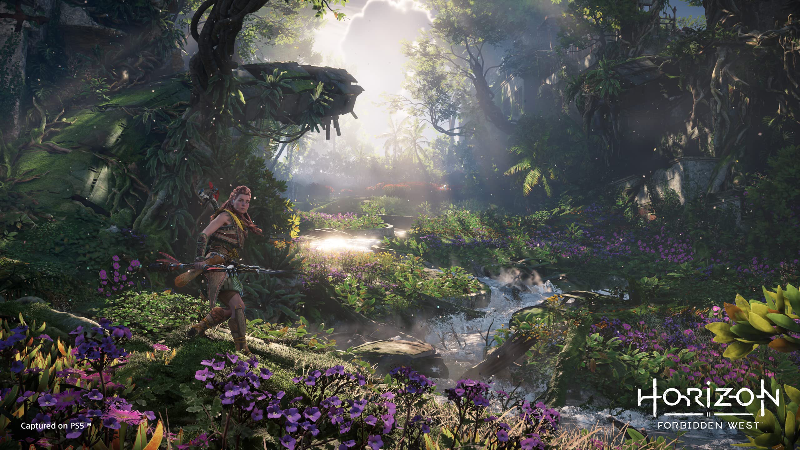 Foto 7 pulgar | Videojuego Playstation Horizon Forbidden West (ps5) - Venta Internacional.