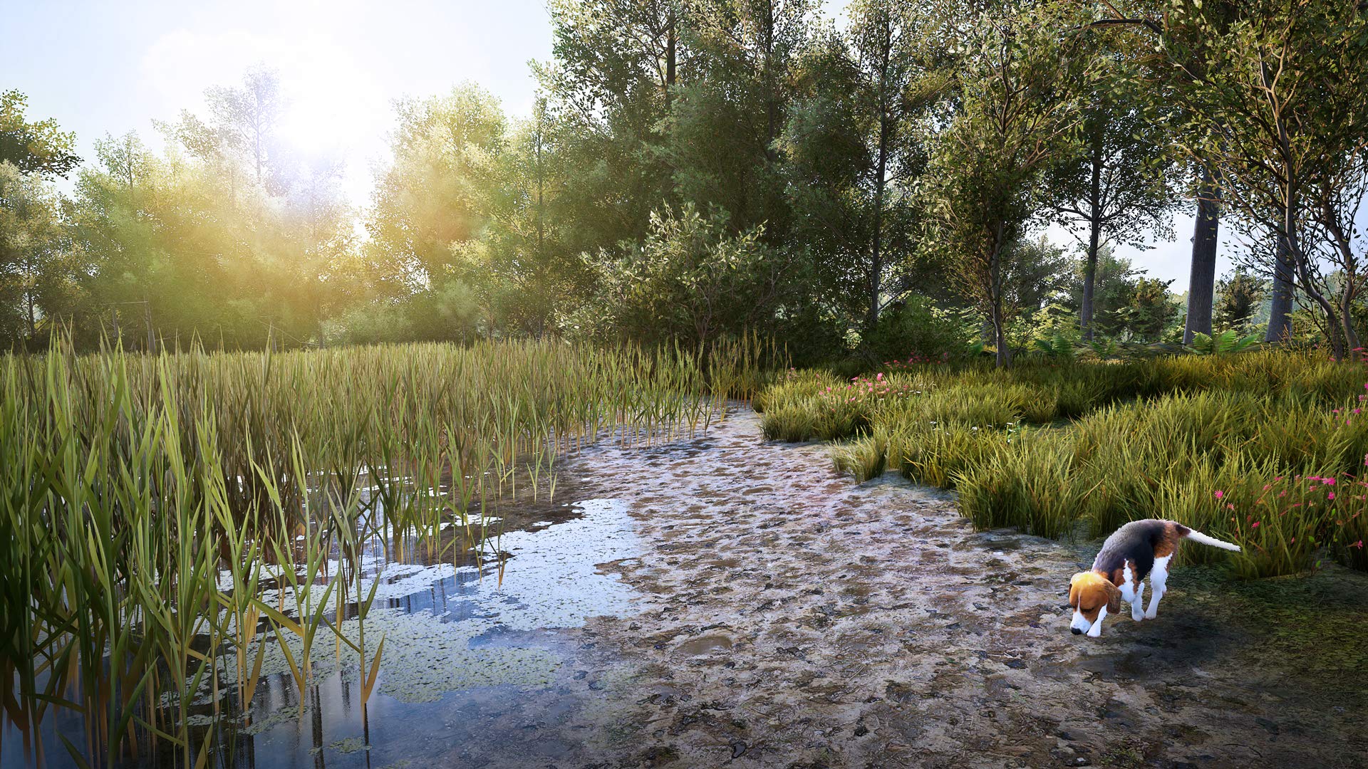 Foto 7 pulgar | Videojuego Hunting Simulator 2 Playstation 5 Ps5 - Venta Internacional.