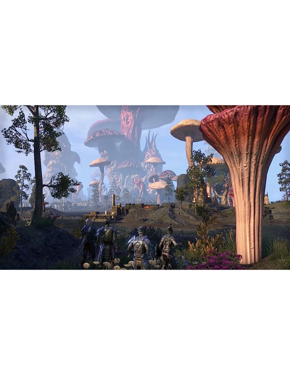 Foto 2 | The Elder Scrolls Online: Morrowind - Xbox One