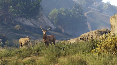 Foto 7 | Videojuego Microsoft Grand Theft Auto V Xbox One - Venta Internacional.