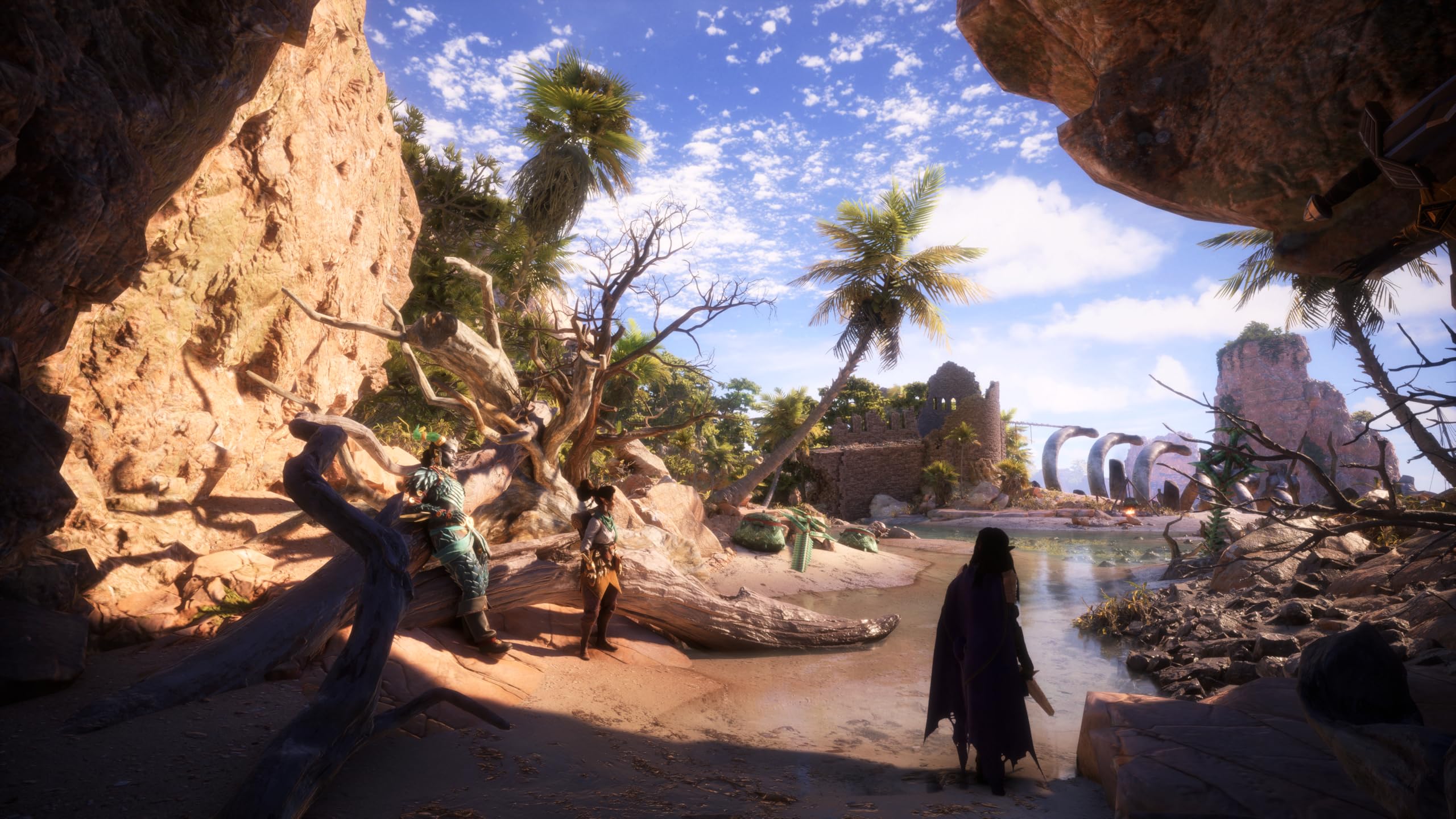 Foto 8 pulgar | Videojuego Electronic Arts Dragon Age: The Veilguard Ps5 - Venta Internacional.