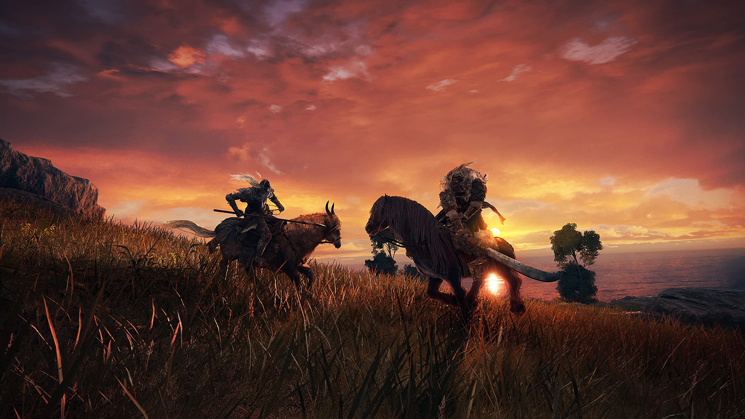 Foto 3 | Videojuego Bandai Namco Entertainment Elden Ring Xbox One - Venta Internacional.