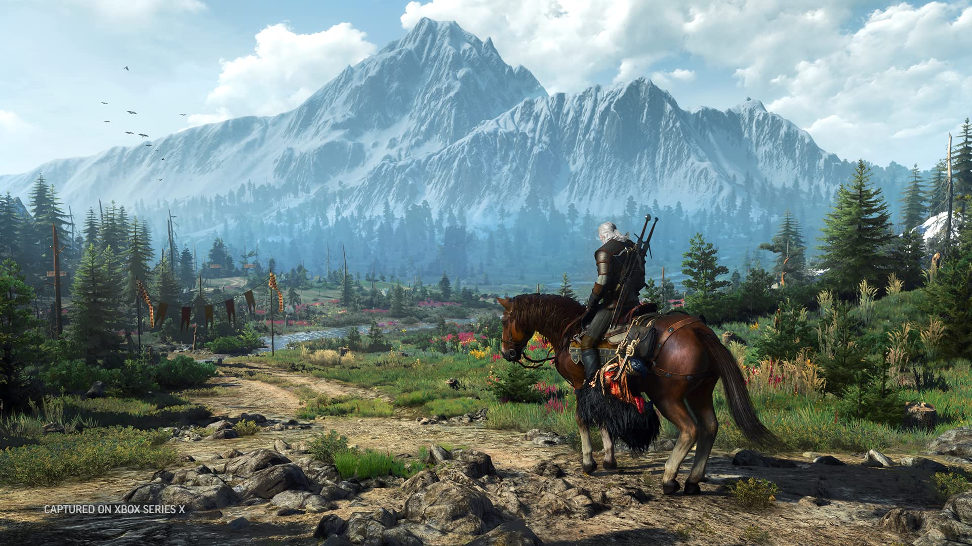Foto 5 pulgar | Videojuego Bandai Namco The Witcher 3: Wild Hunt Xbox Series X - Venta Internacional.