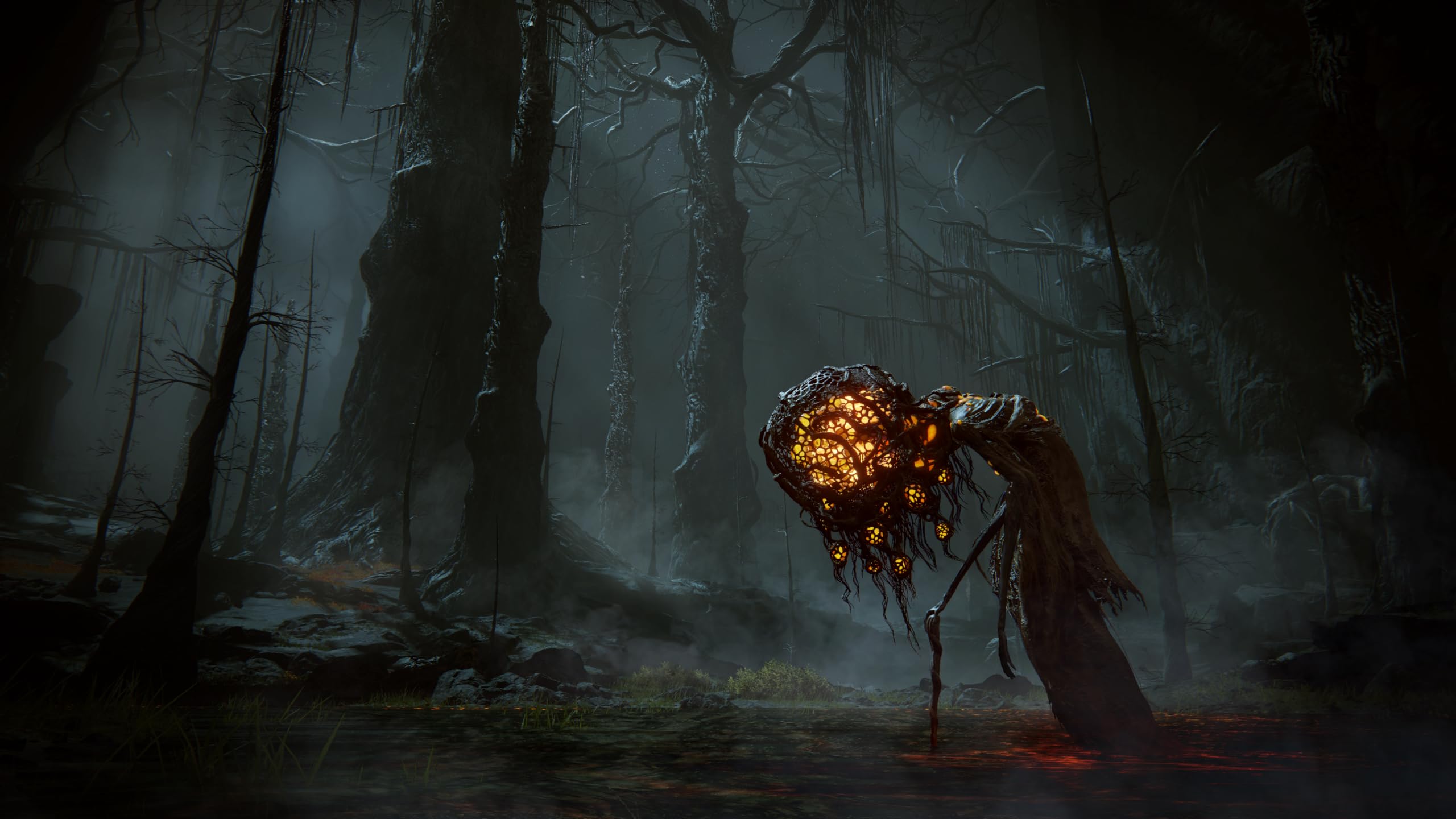 Foto 7 pulgar | Videojuego Bandai Namco Elden Ring Shadow Of The Erdtree Xsx - Venta Internacional.