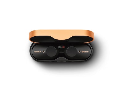 Foto 5 | Reacondicionado Auriculares Sony Wf-1000xm3 True Wireless Bluetooth Negros - Venta Internacional.
