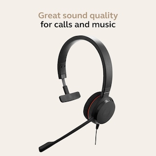Foto 2 | Auriculares Jabra Evolve 20 Ms Mono Usb Con Unidad De Control De Llamadas - Venta Internacional.
