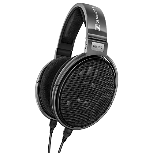 Auriculares Dinámicos Sennheiser Hd 650 Con Parte Trasera Ab - Venta Internacional.