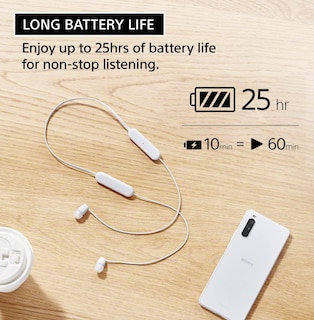 Foto 3 | Auriculares Inalámbricos Sony Wi-c100 Bluetooth Con Micrófono Negros - Venta Internacional.