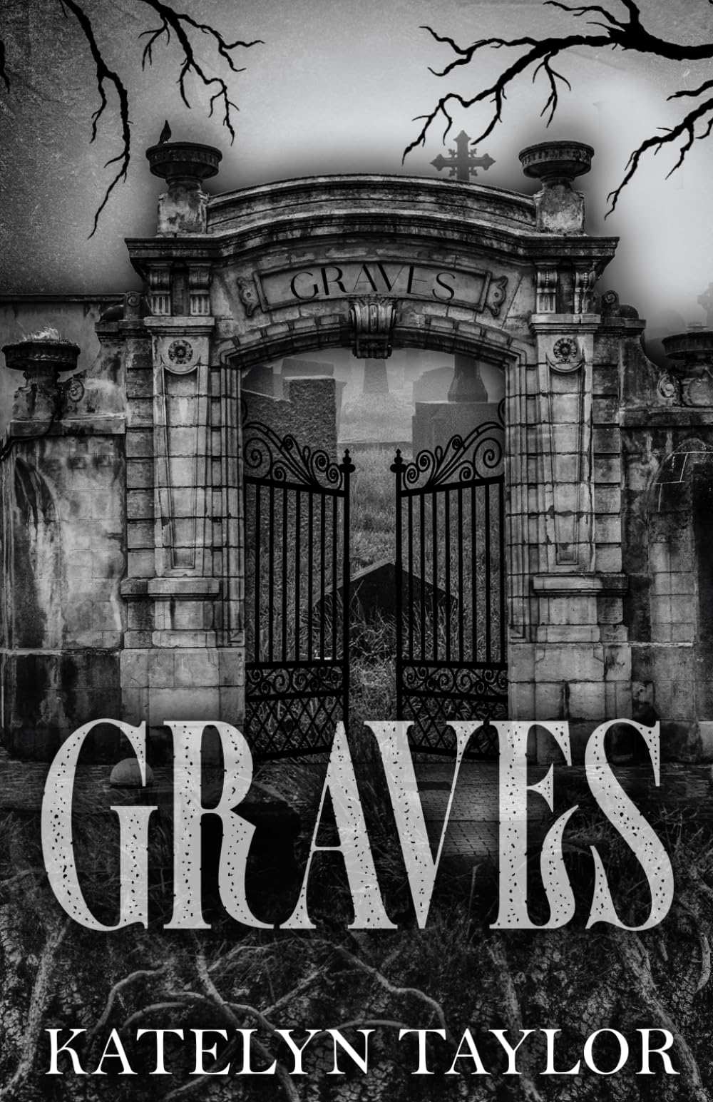 Foto 2 pulgar | Graves - Venta Internacional.