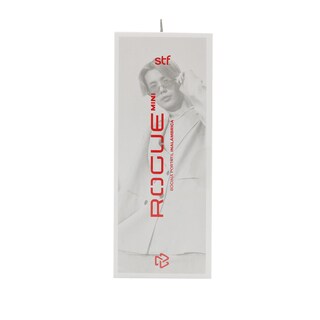 Foto 6 | Bocina Inalámbrica Rogue Mini Stf Tws Protección Ipx5 Color Gris