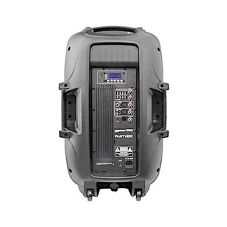 Foto 4 | Bafle Fussion Acustic Amplificado 15 Pulgadas Pbs-15panther