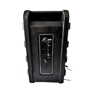 Foto 4 | Bocina Party Box Fj813dw Portátil 8” Con Bluetooth, Luces Rgb, Usb – Negra