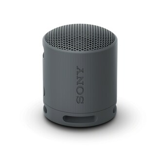 Foto 1 | Altavoz Sony Srs-xb100 Inalámbrico Bluetooth Resistente Al Agua Negro - Venta Internacional.