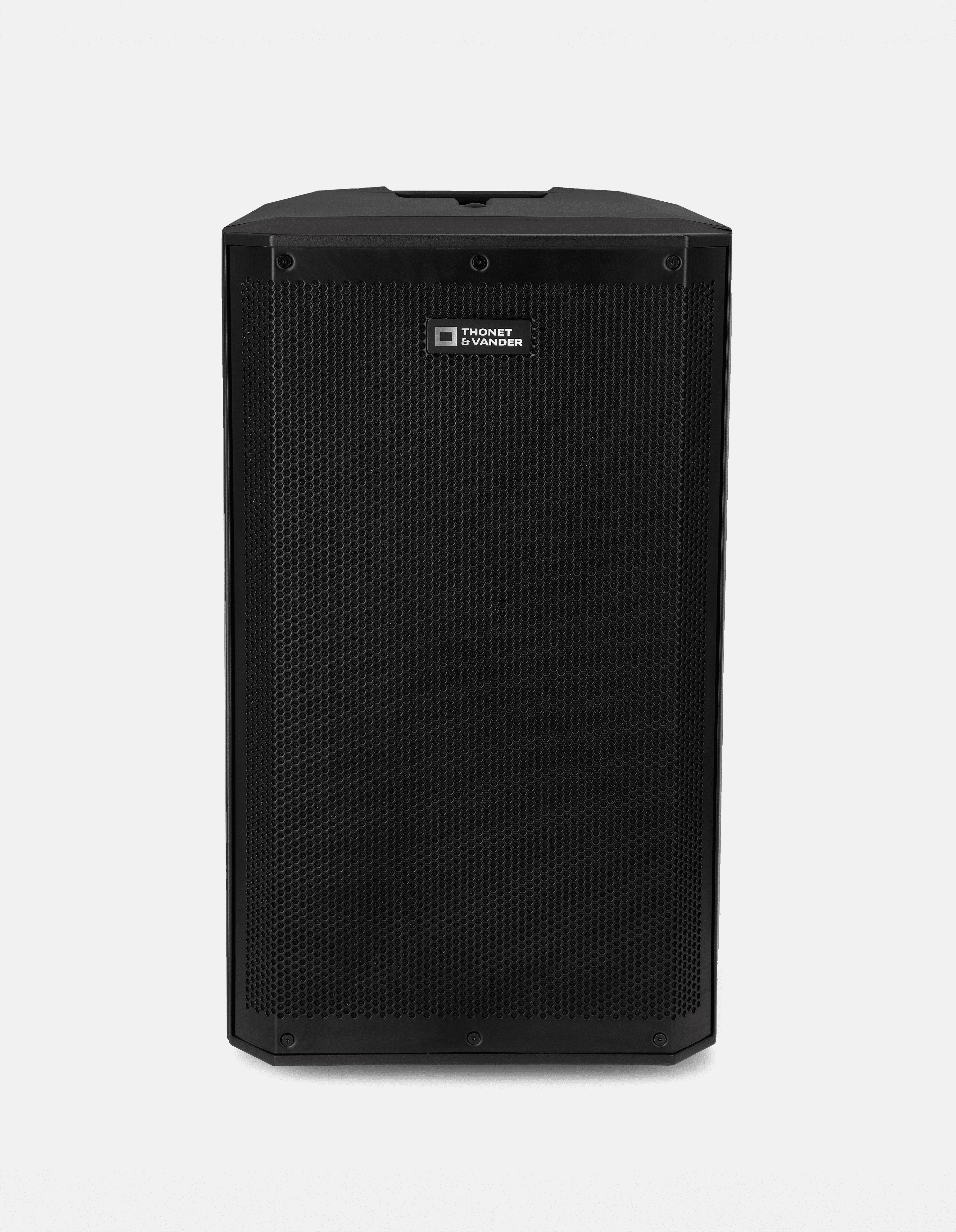 Foto 2 pulgar | Bocina Pa Activa Thonet & Vander – 300w Rms  Bluetooth 5.0  Tws  Woofer 12''  Dsp  Bass Reflex