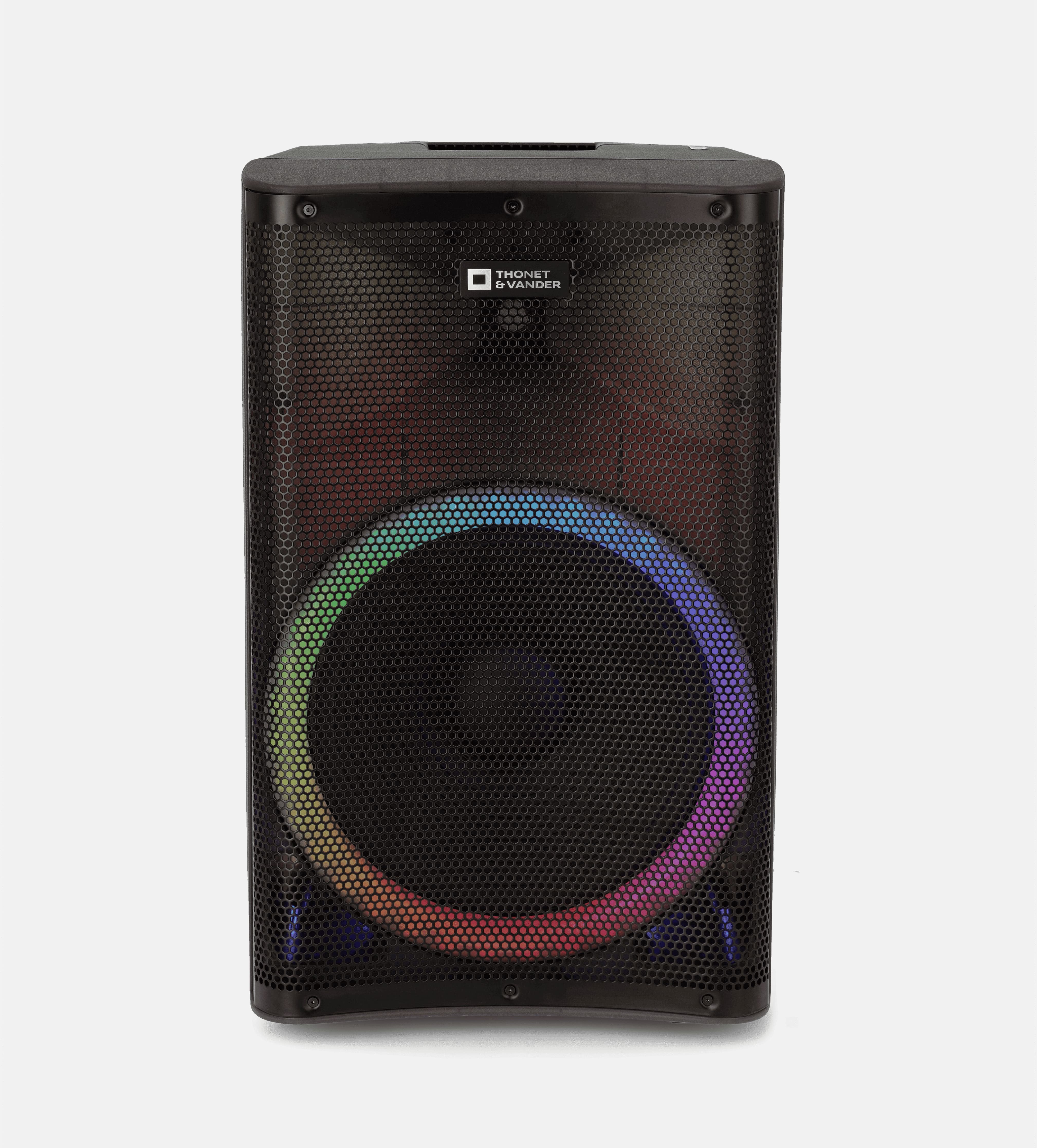 Bocina Pa Activa Thonet & Vander – 250w Rms  Bluetooth 5.0  Tws  15''  Batería Recargable  Micrófono Inalámbrico