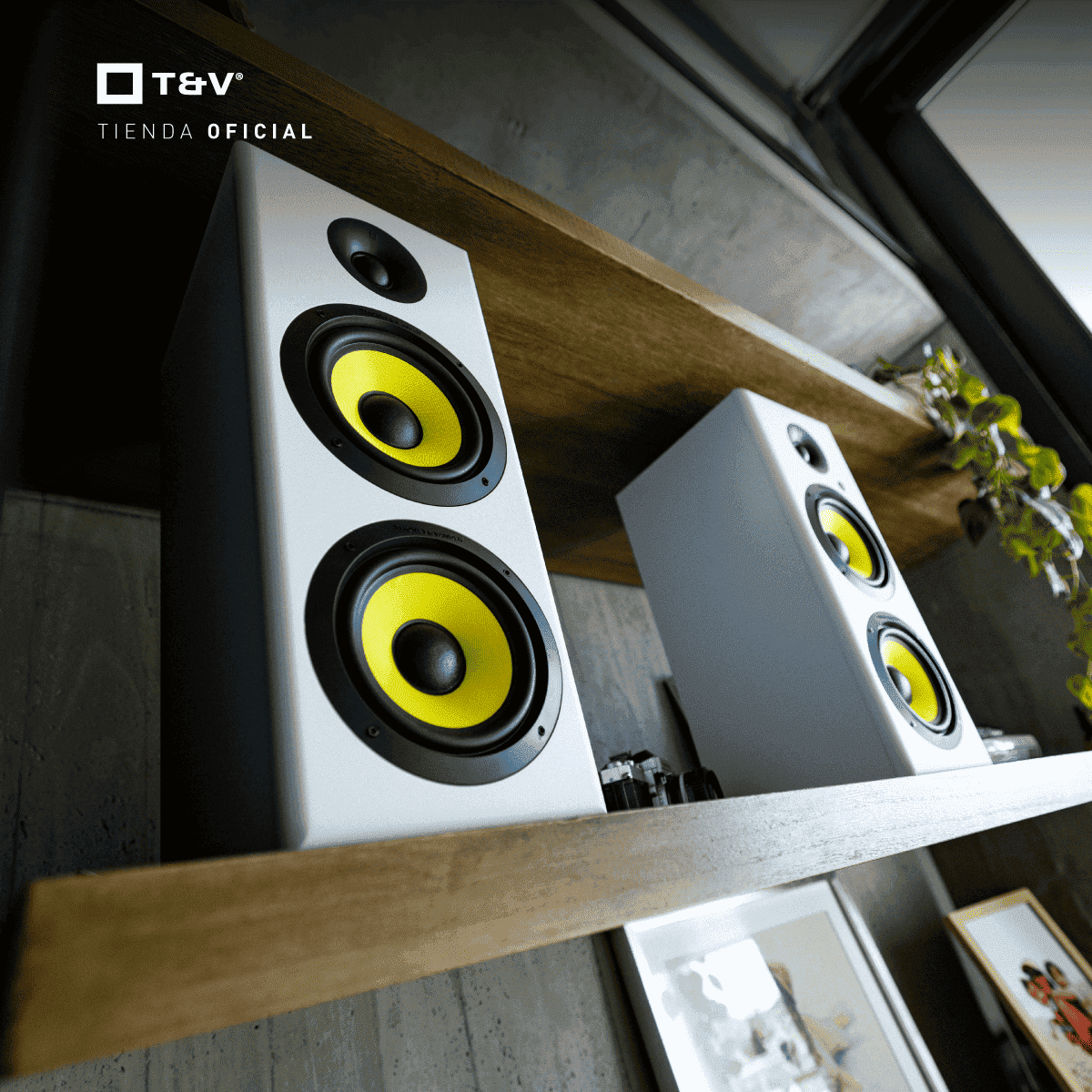 Foto 8 pulgar | Bocinas 2.0 Bluetooth 120w Thonet & Vander Hoch Gen2 Con Bass Reflex Y Dsp
