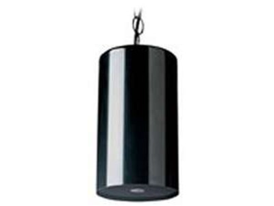 Foto 1 | Altavoz Colgante - Negro - Venta Internacional.