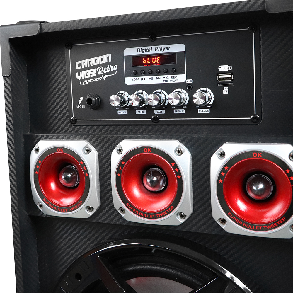 Foto 6 pulgar | Bafles Activo y Pasivo Fussion Acustic 2x10 Pulgadas 4500W