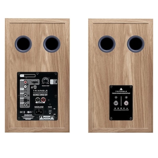 Foto 4 | Altavoz De Estantería Triangle Borea Active Br03 Bt Bluetooth - Venta Internacional.