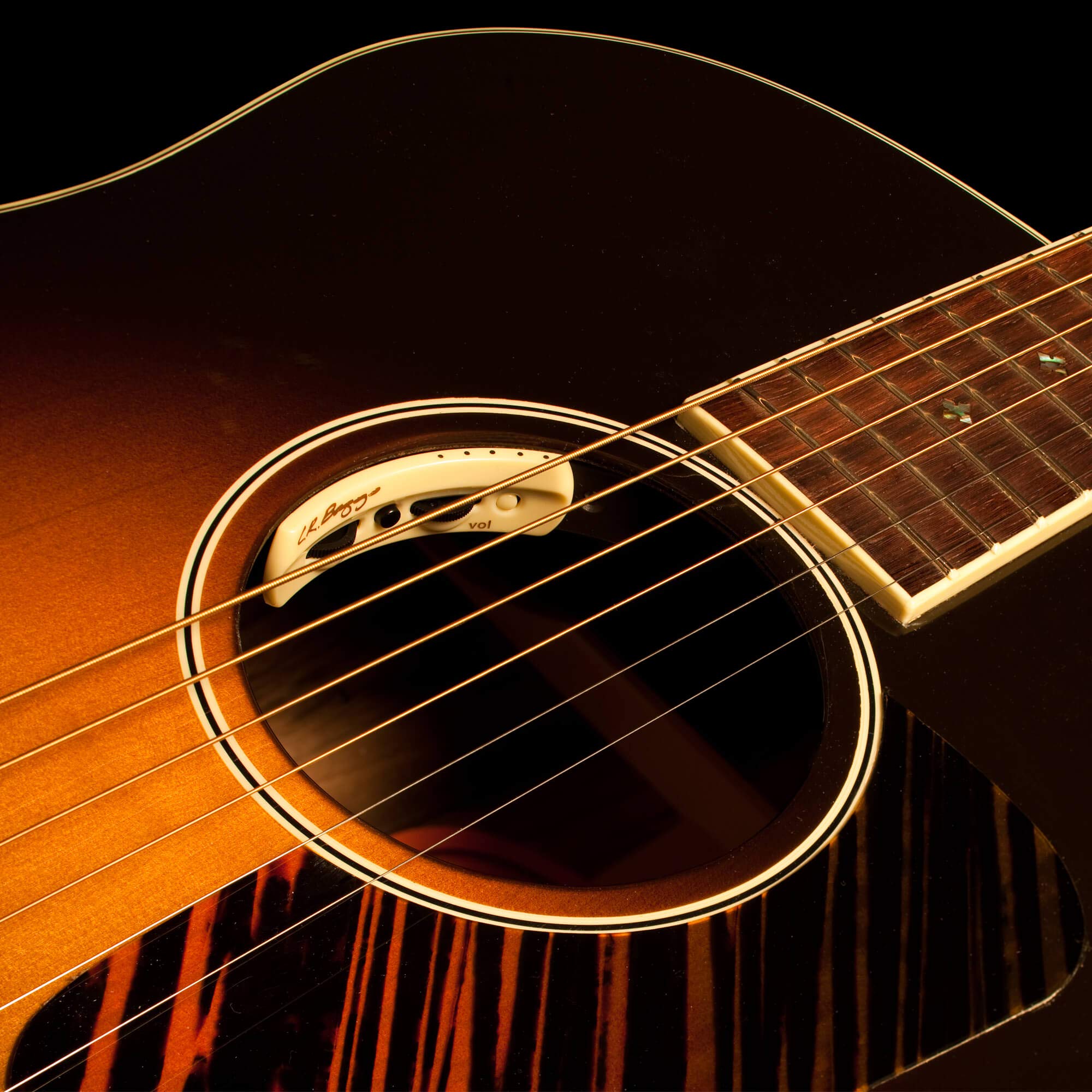 Foto 3 | Pastilla Para Guitarra Acústica Y Micrófono L.r. Baggs Anthem - Venta Internacional.