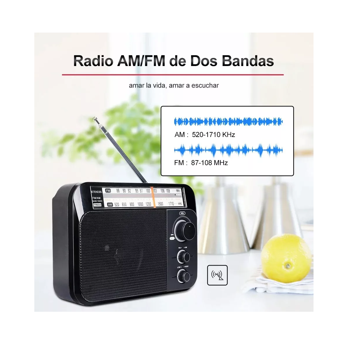 Foto 3 pulgar | Radio Am Fm Portátil Para Mayores Con Esfera Y Pomo Grande Eo Safe Imports Esi-16468 Negro