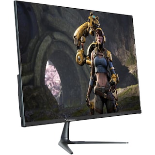 Foto 3 | Monitor Gamer 23.8 Xzeal Starter Xzt-560 5ms 75hz Vga Hdmi Full Hd Xspmg04b Color Negro