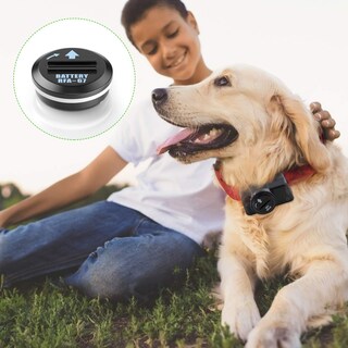 Foto 7 | Baterías De Repuesto Para Collares Para Mascotas Ebl Rfa-67, 6 V, Paquete De 10 - Venta Internacional.